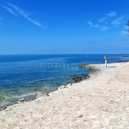 Apartman Dario Direkt Am By Interhome Novigrad (Istria)